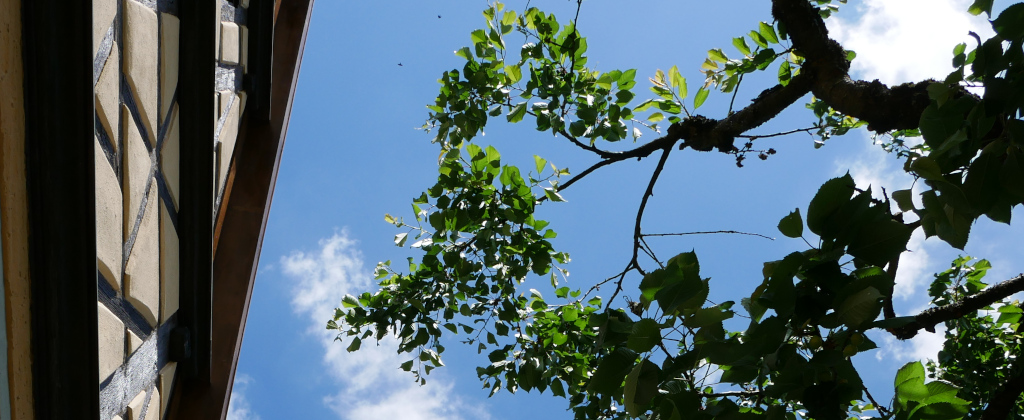 Haus Taubertal_6 Haus Taubertal_6